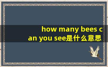 how many bees can you see是什么意思